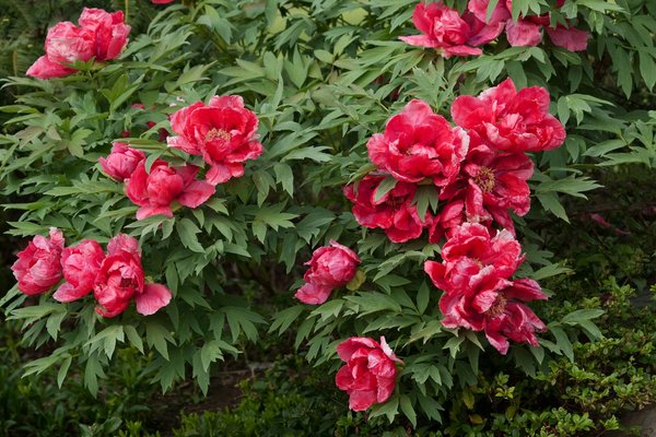 Top Techniques for Reviving Stained Glass Windows in UK Heritage Homes: A Comprehensive Guide