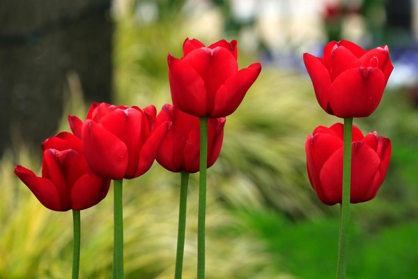 Explore the best camo netting shop online for tactical and outdoor needs