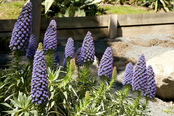 Essential Considerations for Installing a Heat Pump in Your Rural Scottish Home: A Comprehensive Guide