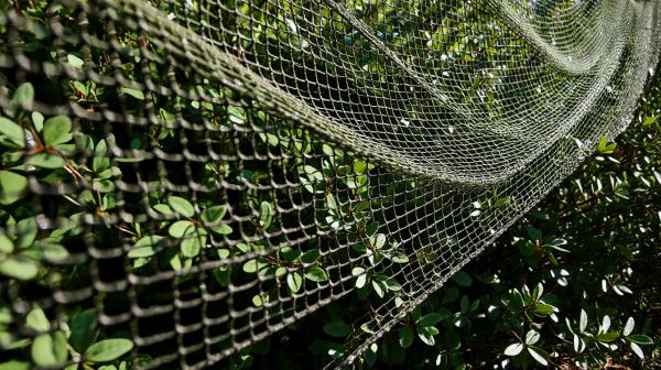 Top 10 Online Stores for Camo Netting for Outdoors & Tactics